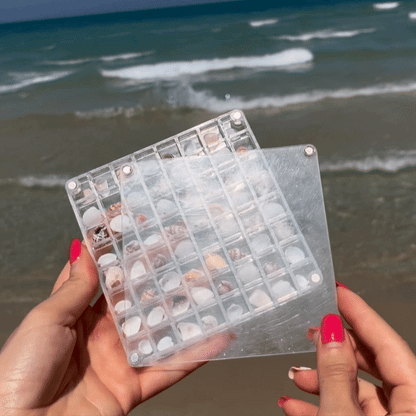 Magnetic Seashell Display Box