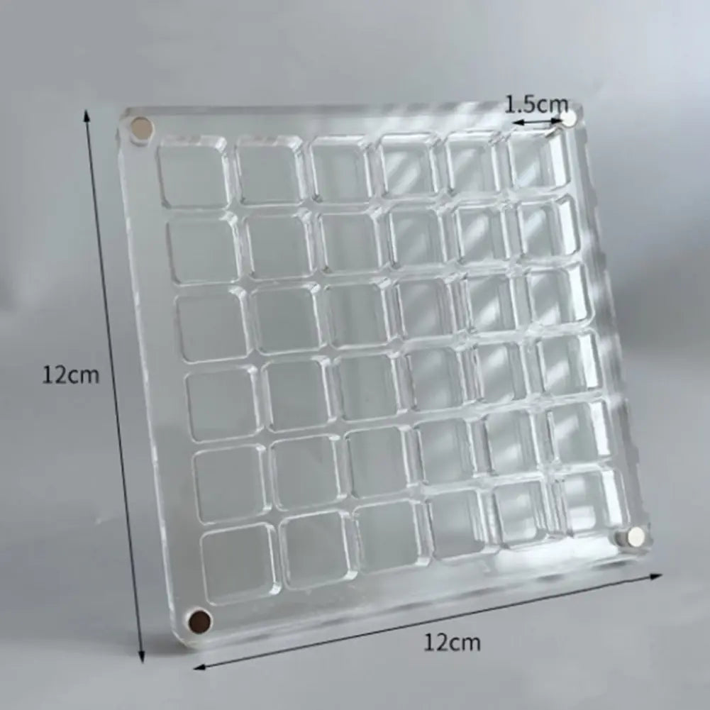 Magnetic Seashell Display Box