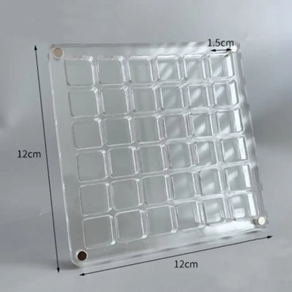 Magnetic Seashell Display Box