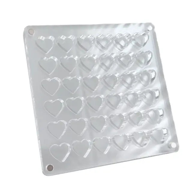 Magnetic Seashell Display Box