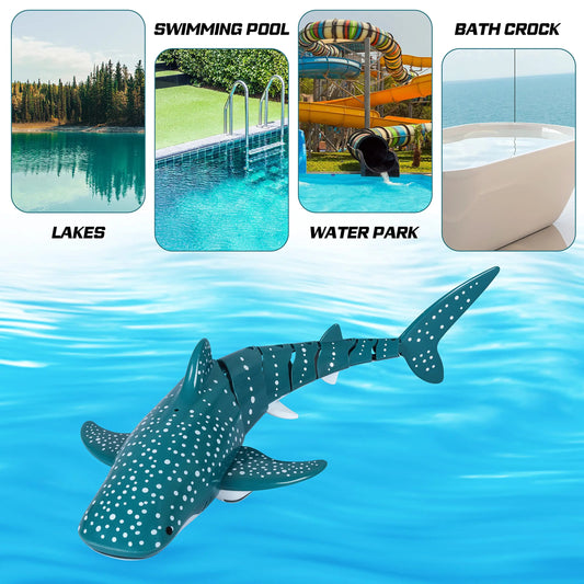 RC Shark Toy