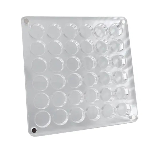 Magnetic Seashell Display Box
