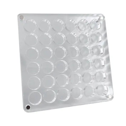 Magnetic Seashell Display Box